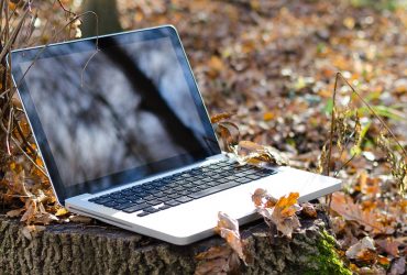 Kehitystyön sadonkorjuu – Ruska 2021 -julkaisu